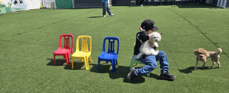 코코랑 사진 6