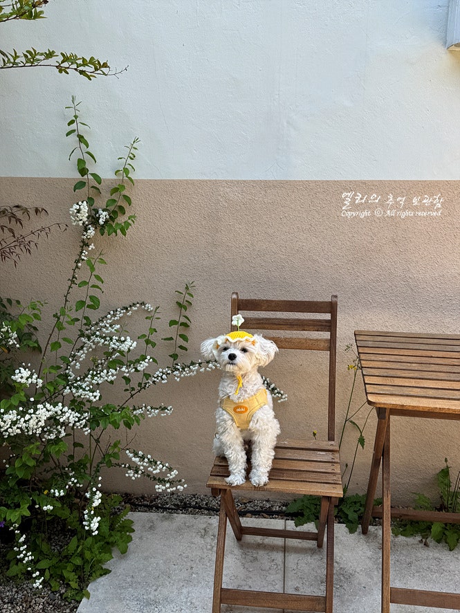 사진 2