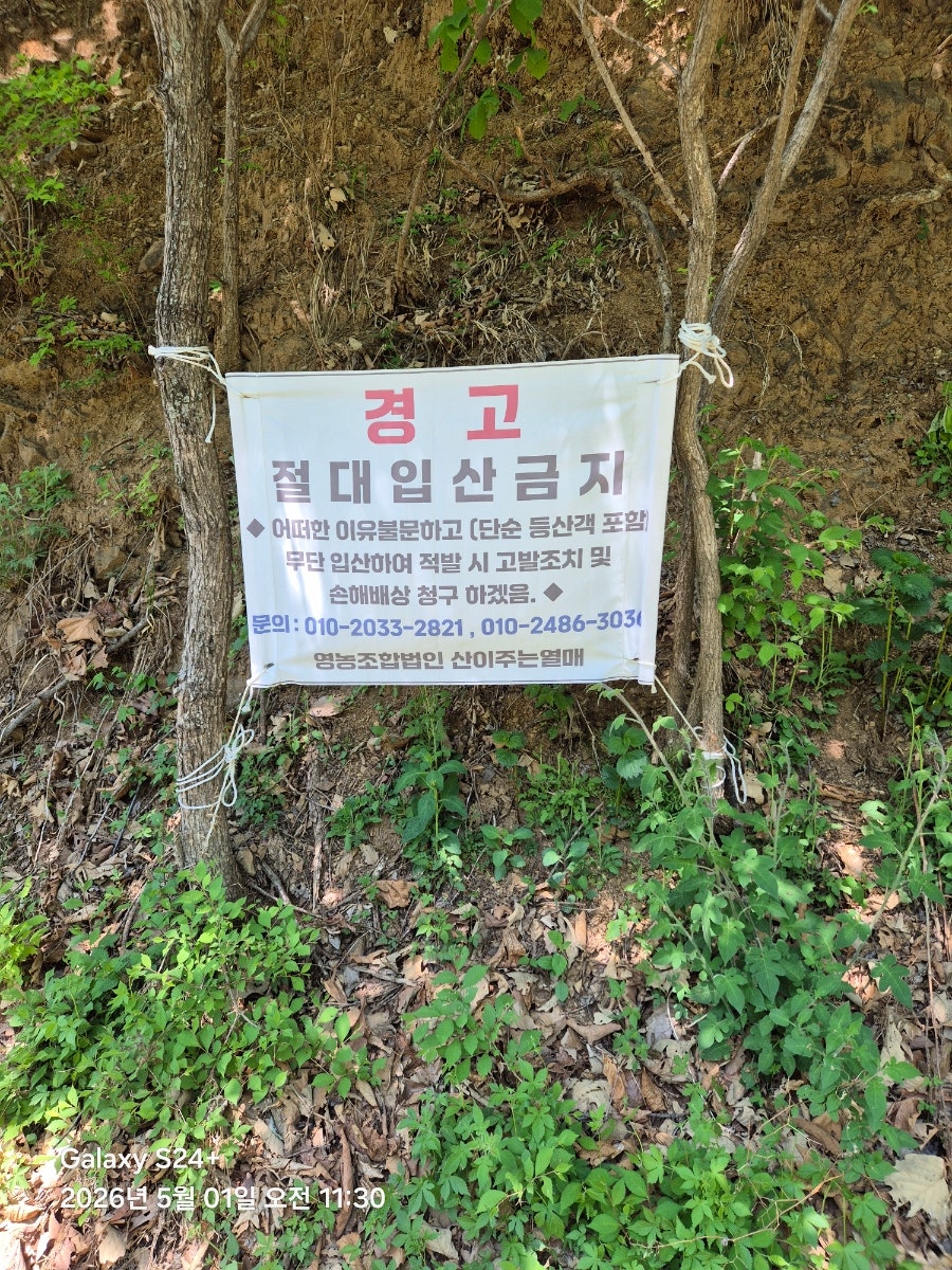 보장산 사진 6