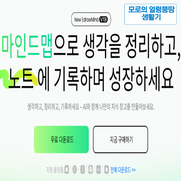 머릿속 복잡할 때? 이드로우마인드 무료 마인드맵 하나면 정리 끝! (꿀팁 포함)