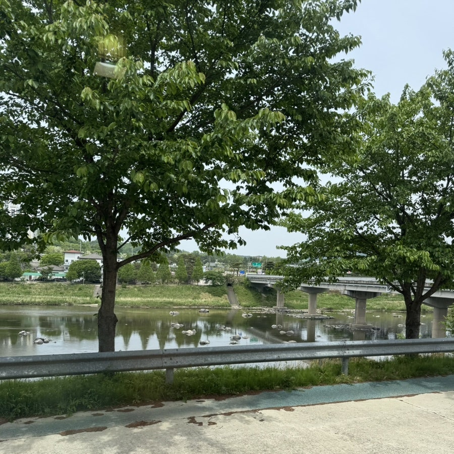 강변식당 사진 4