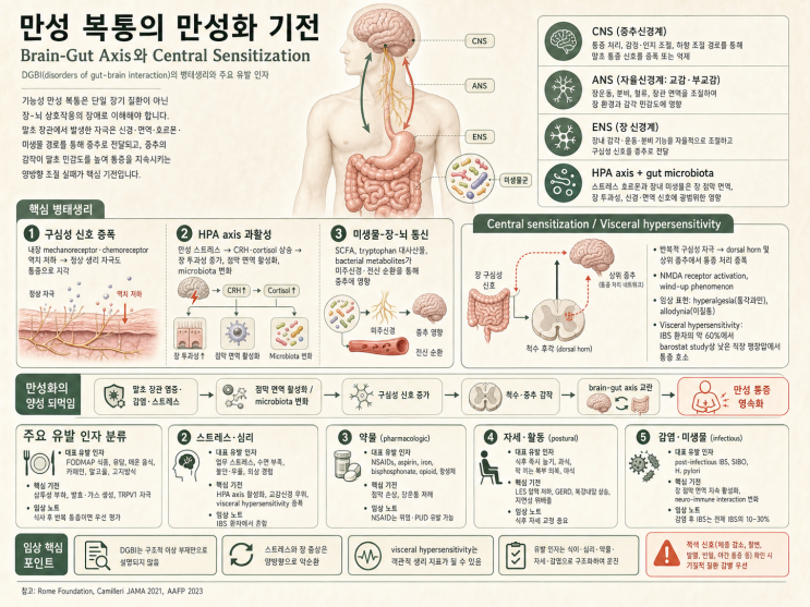  만성·재발성 복통 예방 임상 가이드 — Brain-Gut Axis 기전·Low-FODMAP·CBT 근거 기반 전략 [ACG 2025][AGA 2025]