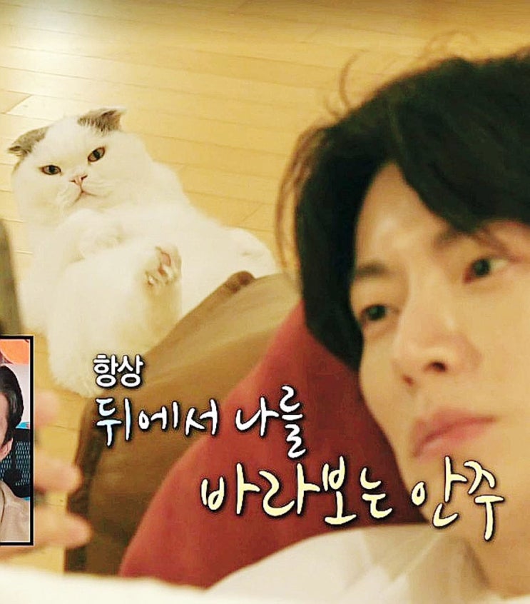  [나혼산] 안재현 13살 안주 병원 목격담 결혼 전부터 함께 산 사연 위험신호 눈물