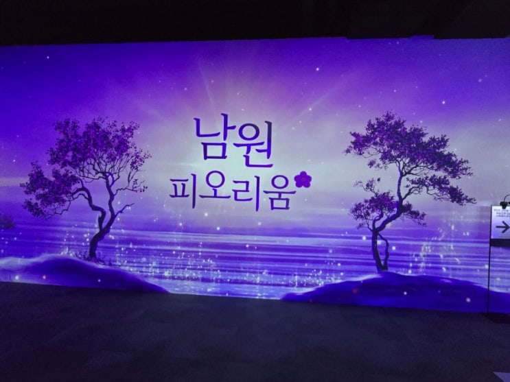  남원 피오리움 미디어아트 입장료 할인 총정리: 단돈 3,000원에 즐기는 꿀팁