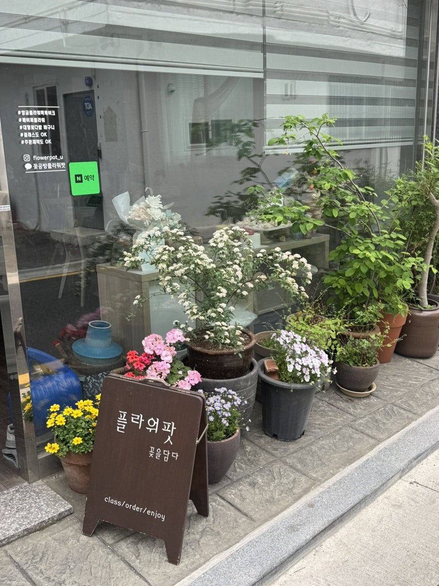 플라워팟 사진 4