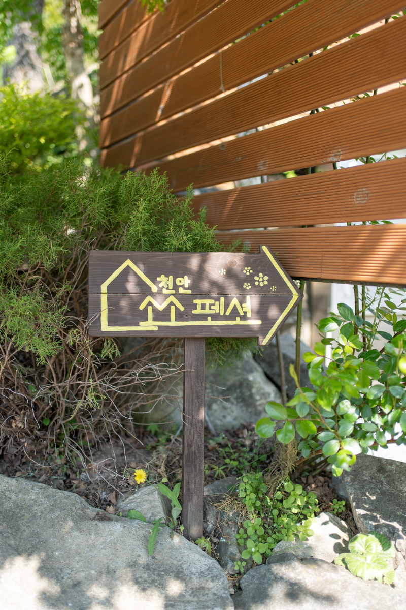 사진 7