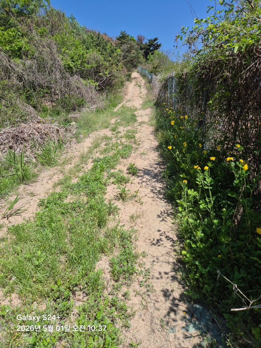보장산 사진 5