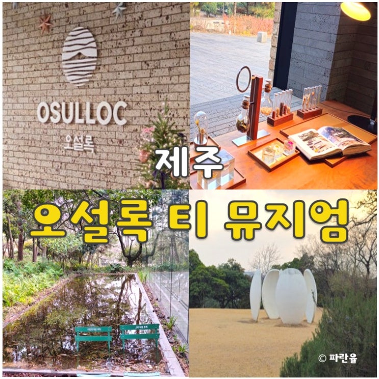  제주 오설록 티 뮤지엄 이니스프리 서귀포 가볼 만한 곳