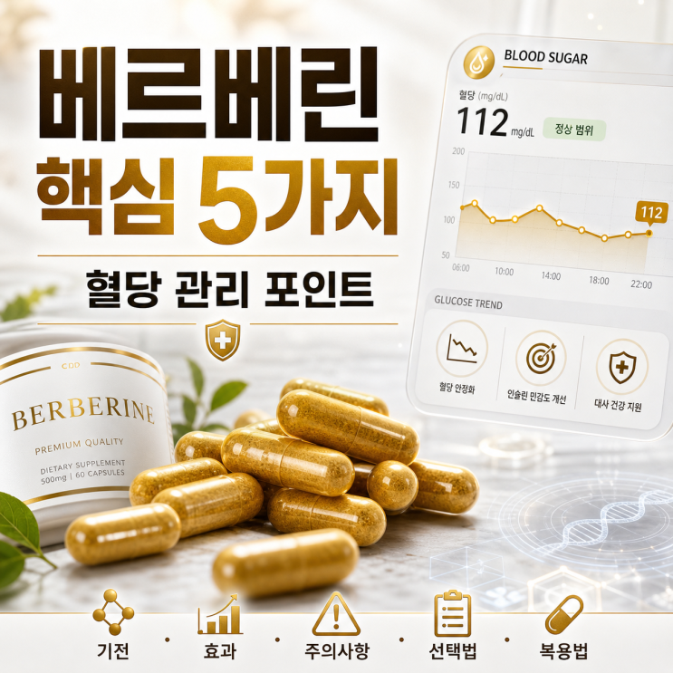  베르베린 효능 2026년 대유행! 혈당 다이어트의 기적일까 독설일까? 부작용까지 총정리