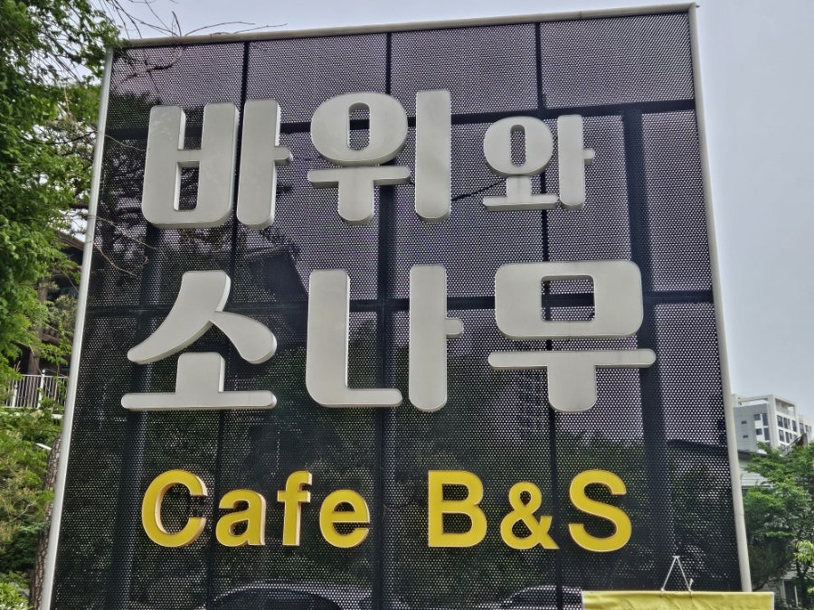 바위와소나무 사진 1