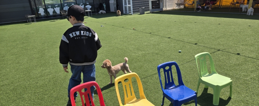 코코랑 사진 5
