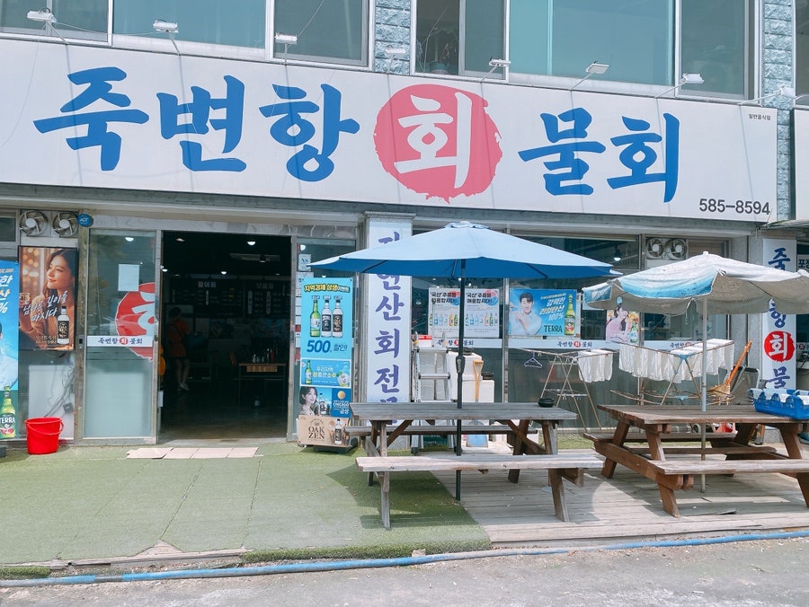 죽변항회물회 사진 2