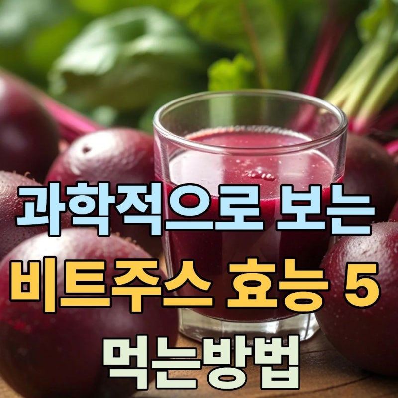 비트주스 건강 효과 정말 있나? 과학적으로 보는 비트쥬스 효능 5가지와 비트주스먹는시간