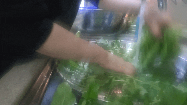 열무 물김치 담그는 법! 절이지 않는 열무 물김치 레시피!