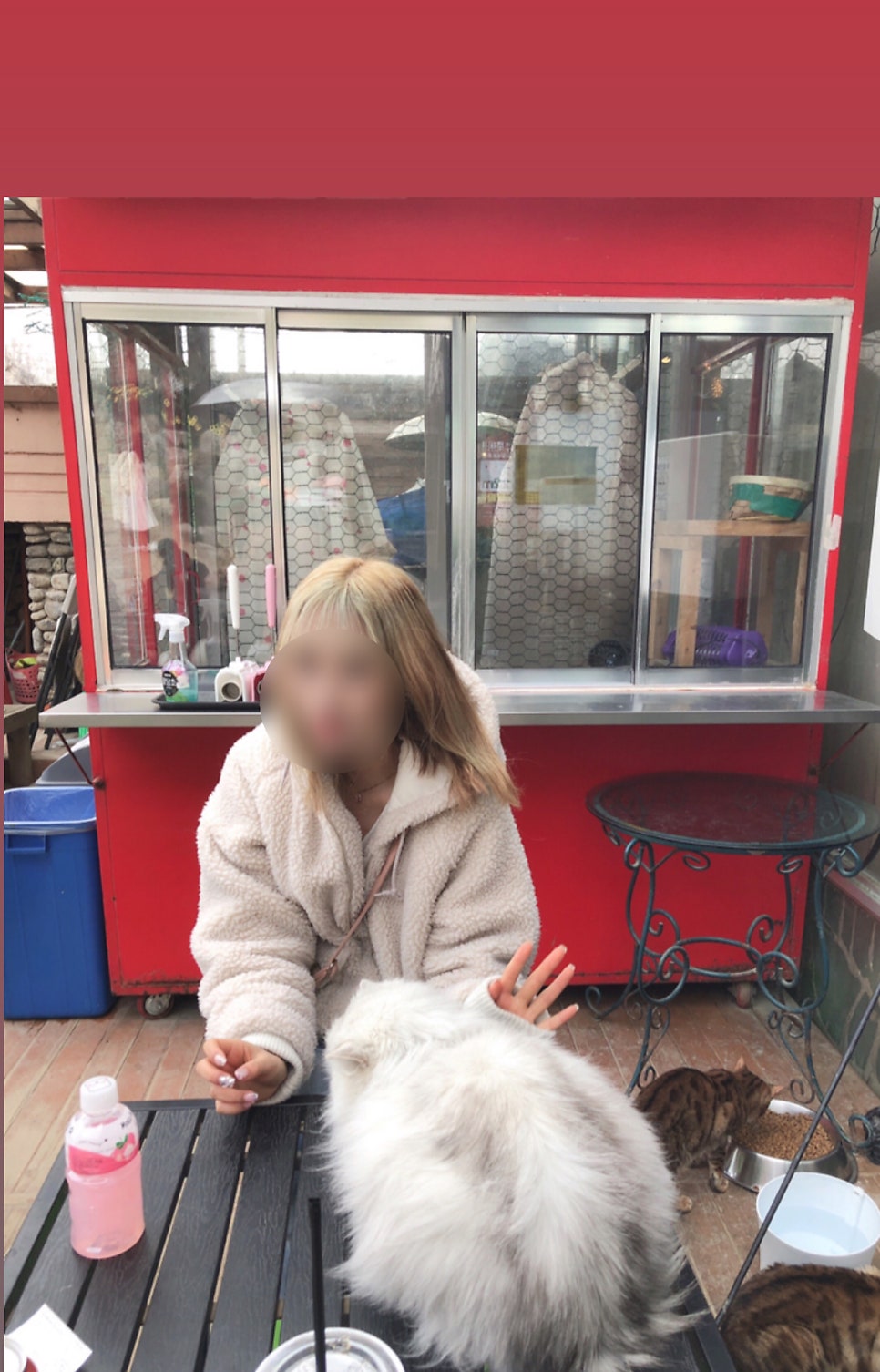 고양이정원 사진 3