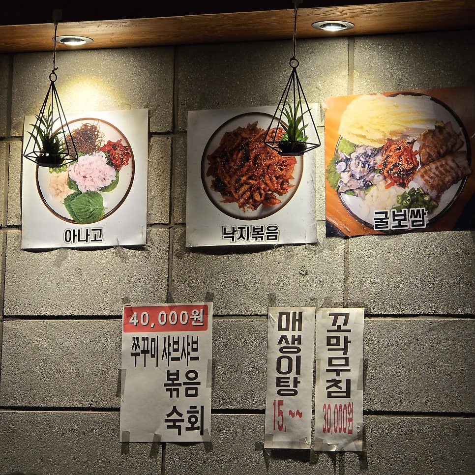 솔가 사진 6