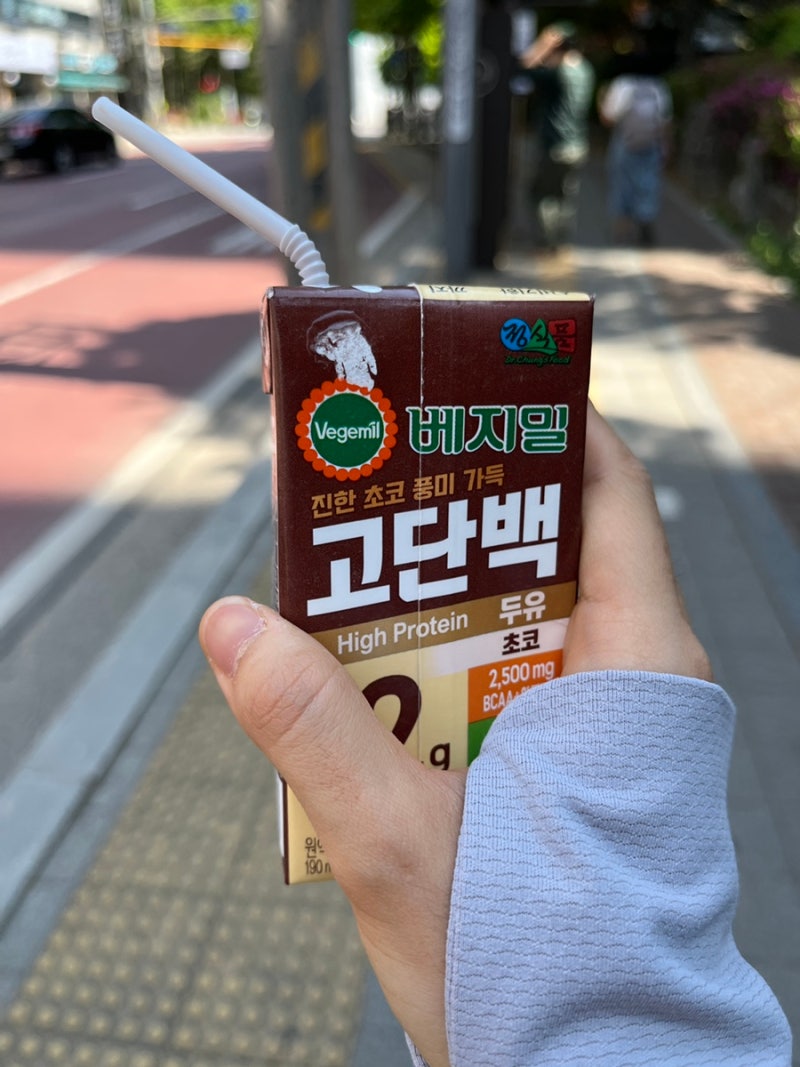 베지밀 고단백 두유 추천 플레인 초코 내돈내산 찐후기!