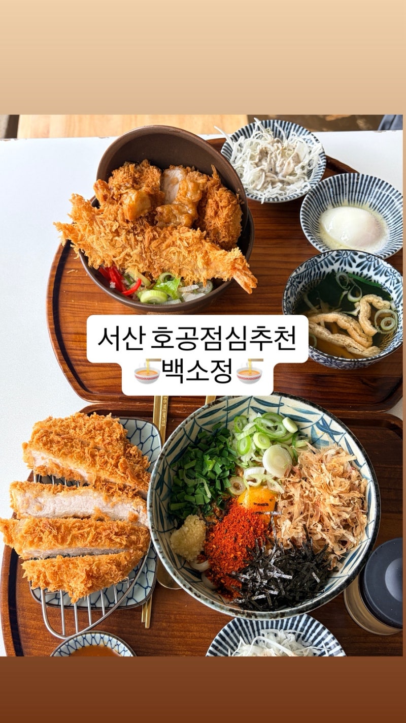 [서산]서산호수공원 점심 추천! 돈카츠, 마제소바 맛집 | 백소정