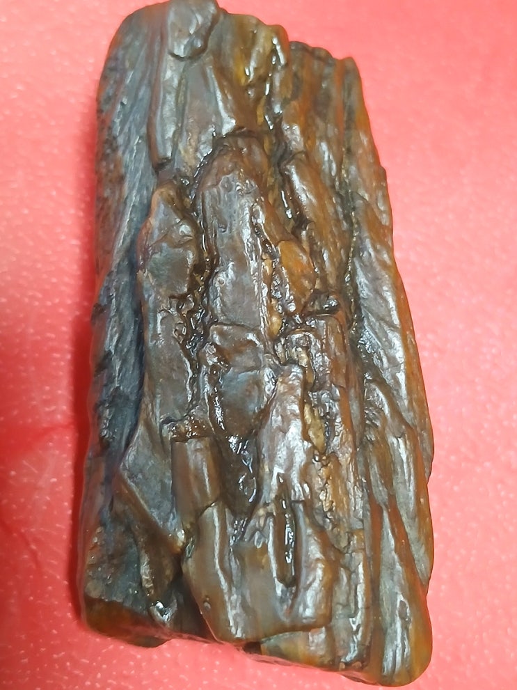  규화목, 규화석, 나무화석 (Petrified Wood, Fossil Wood, Tree Fossil)