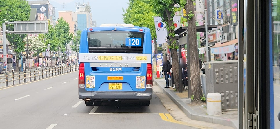 다모아 사진 6