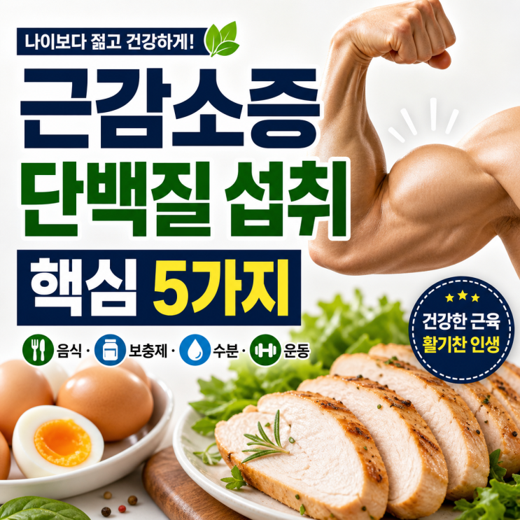  근감소증 예방 고단백 식단 비결! 근육 채우는 단백질 추천부터 부작용까지 완벽 정리