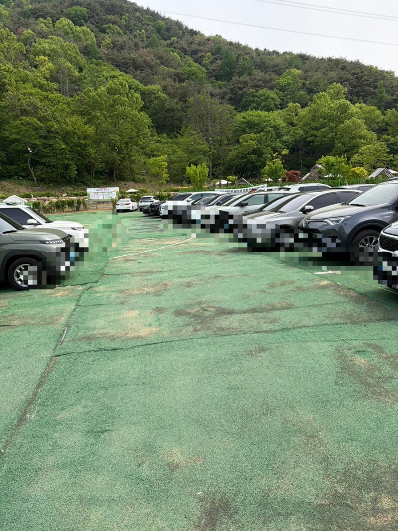 사진 5