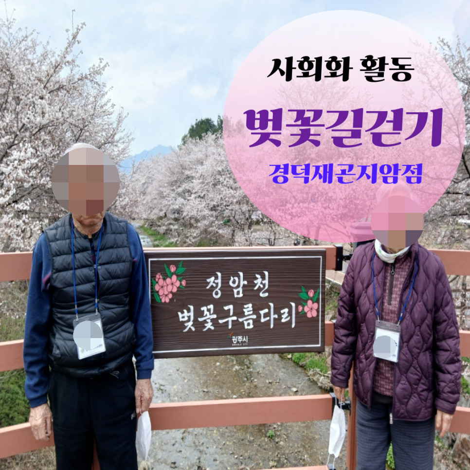 귀여리벚꽃길 사진 1
