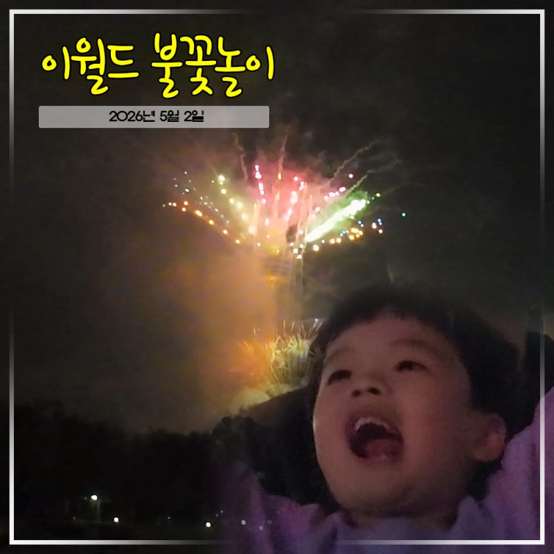 이월드 불꽃놀이, 아이 반응이 이 정도였습니다 (대구 야경 명소)