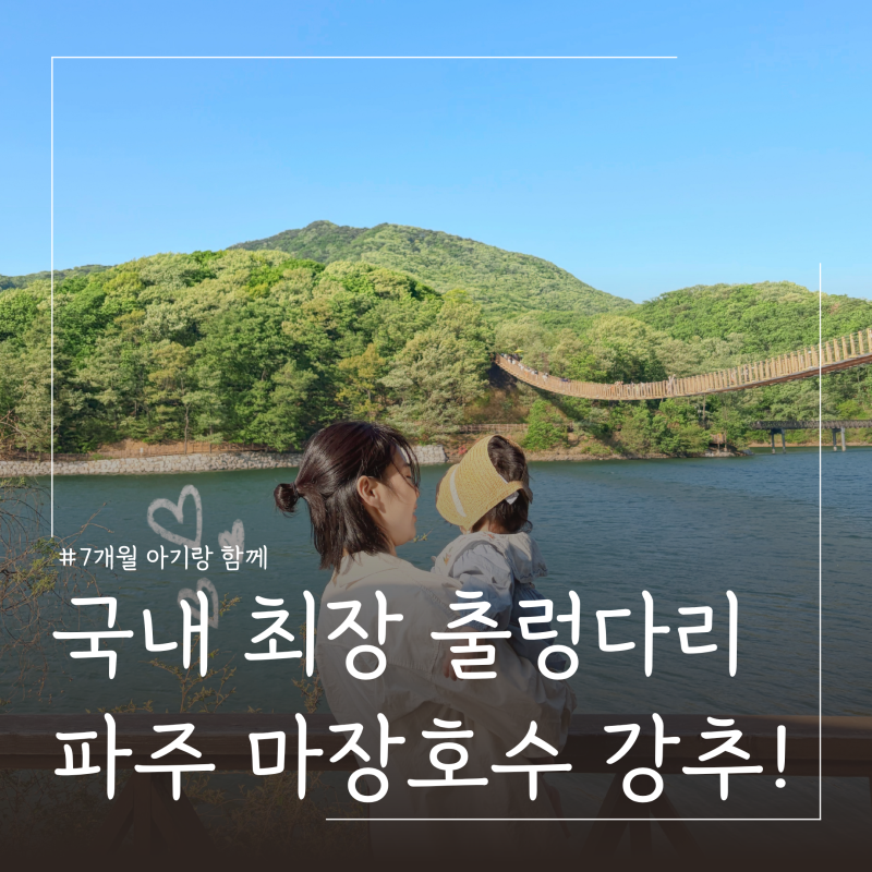 사진 8