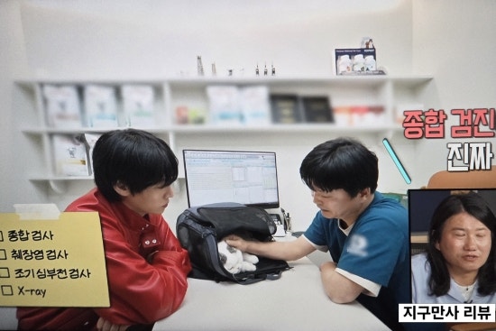 나혼자산다 안재현 안주 고양이 반려묘 건강검진 동물병원 위치 서울 송파