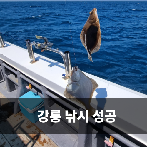  안목해변놀거리 킹덤호 강릉낚시 큰 딸과 바다낚시 후기