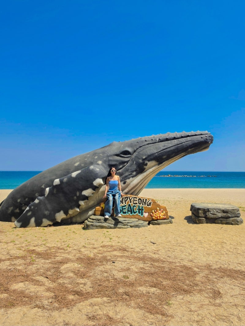 강원도 삼척 바다 가볼만한곳 원평해수욕장 삼척해수욕장