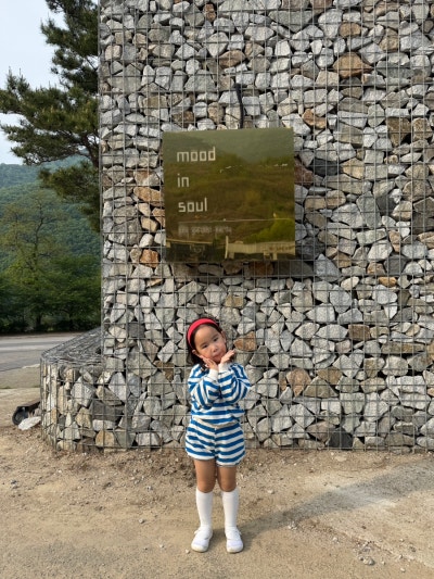 사진 9