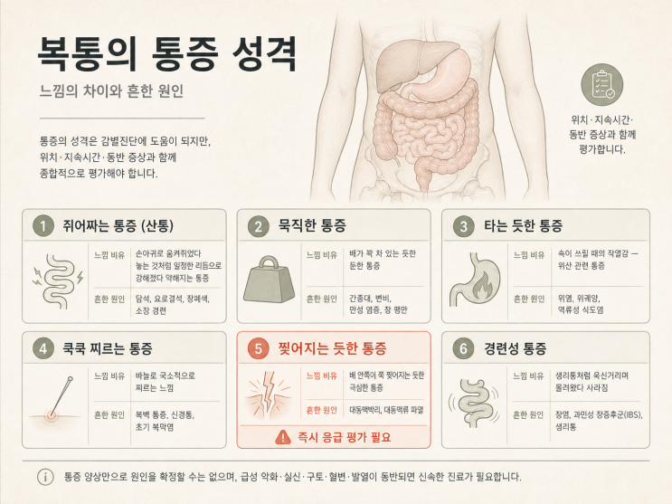 복통 위치별 원인 알아보기 — 아랫배 윗배 통증의 의미는?