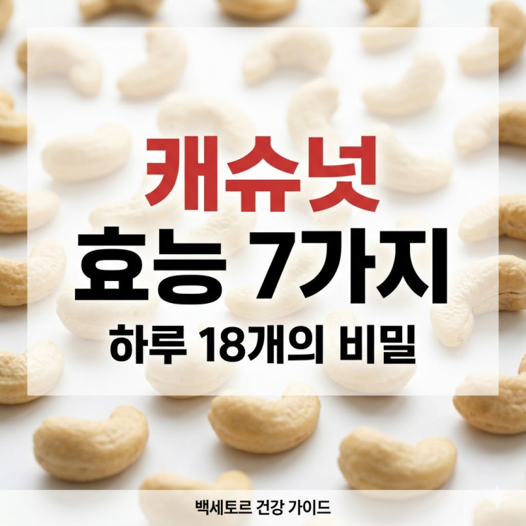 캐슈넛 효능 하루 18개의 비밀, 콜레스테롤 수치 높아 걱정인 분들 주목