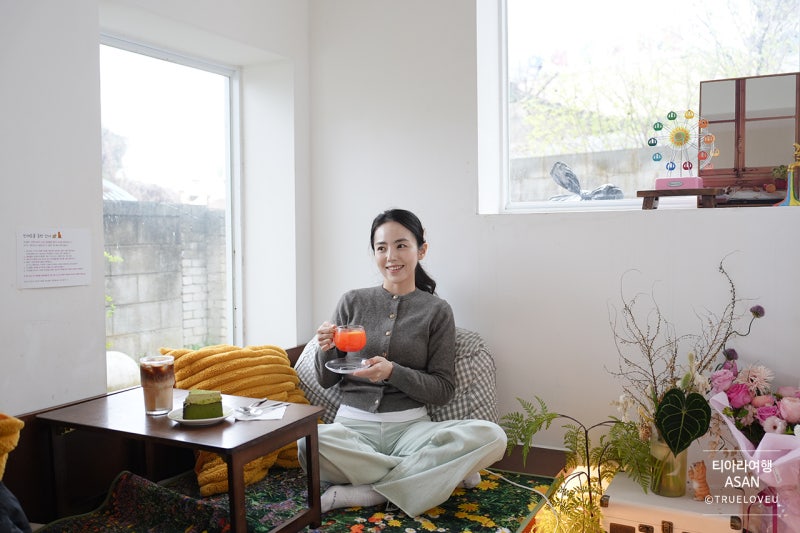 사진 5