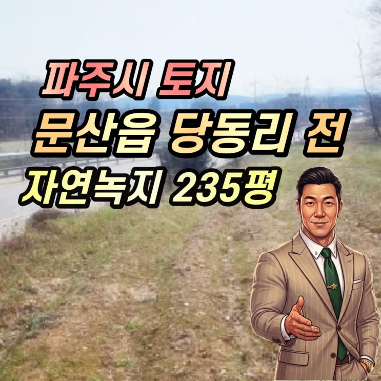  파주시 토지 경매 문산읍 당동리 200평대 공시가이하 2025타경62641