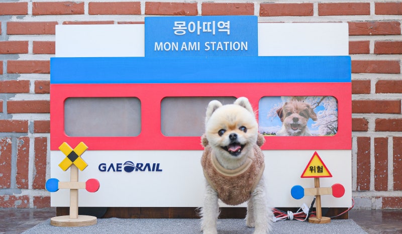 사진 7