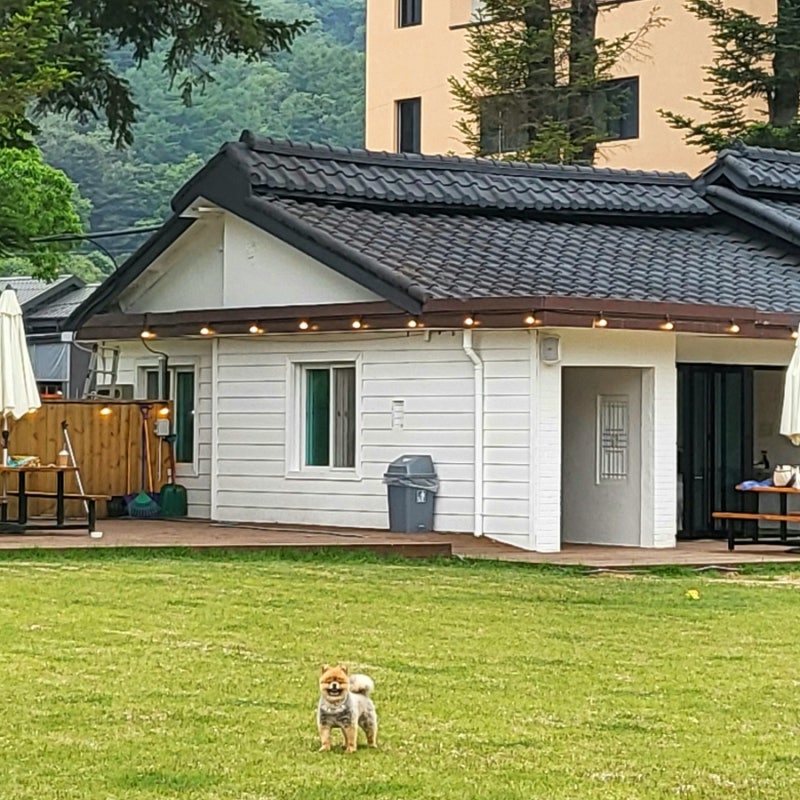 모꼬지댕카페