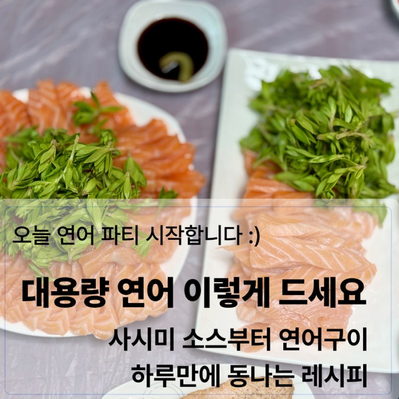대용량이라 고민? 코스트코 트레이더스 연어 가격비교 손질법 + 하루만에 순삭 저염,저당 레....