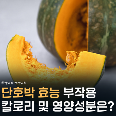 단호박 효능 부작용 씨 껍질 효능 칼로리 영양성분 총정리