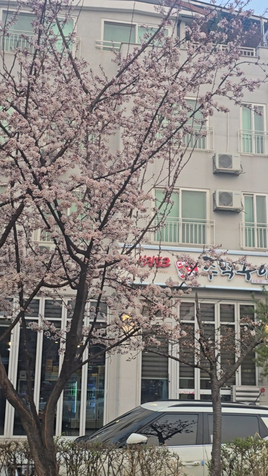 대한민국주먹구이 사진 2
