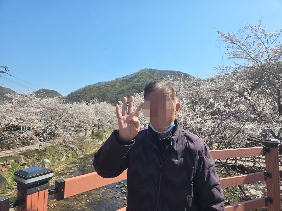 귀여리벚꽃길 사진 6