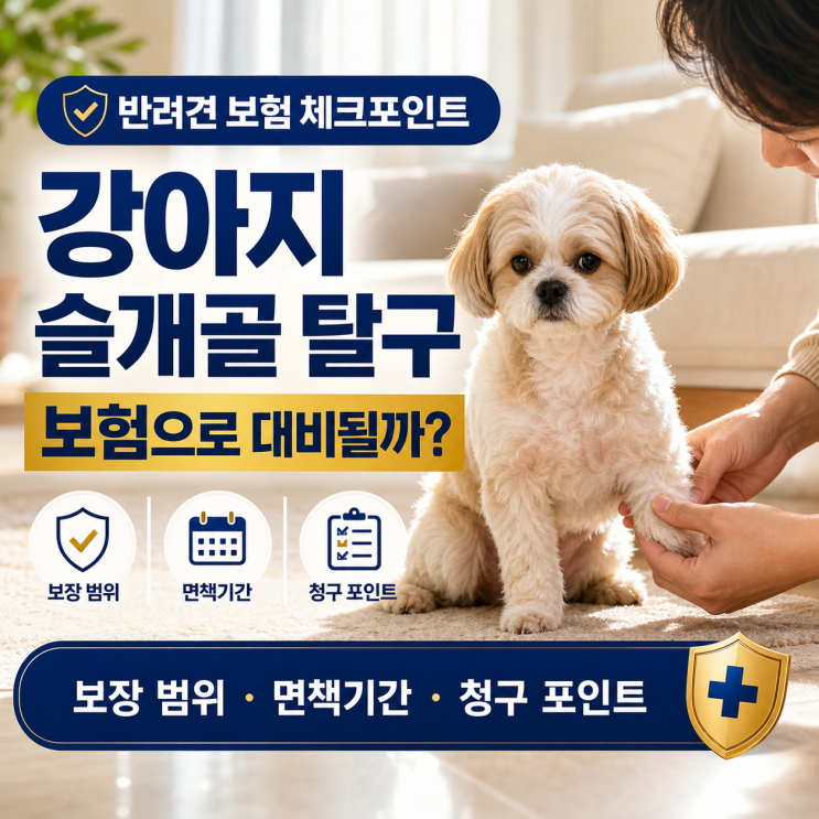  펫보험 슬개골 탈구 보장 범위 확인법! 수술비 폭탄 피하는 필수 체크리스트