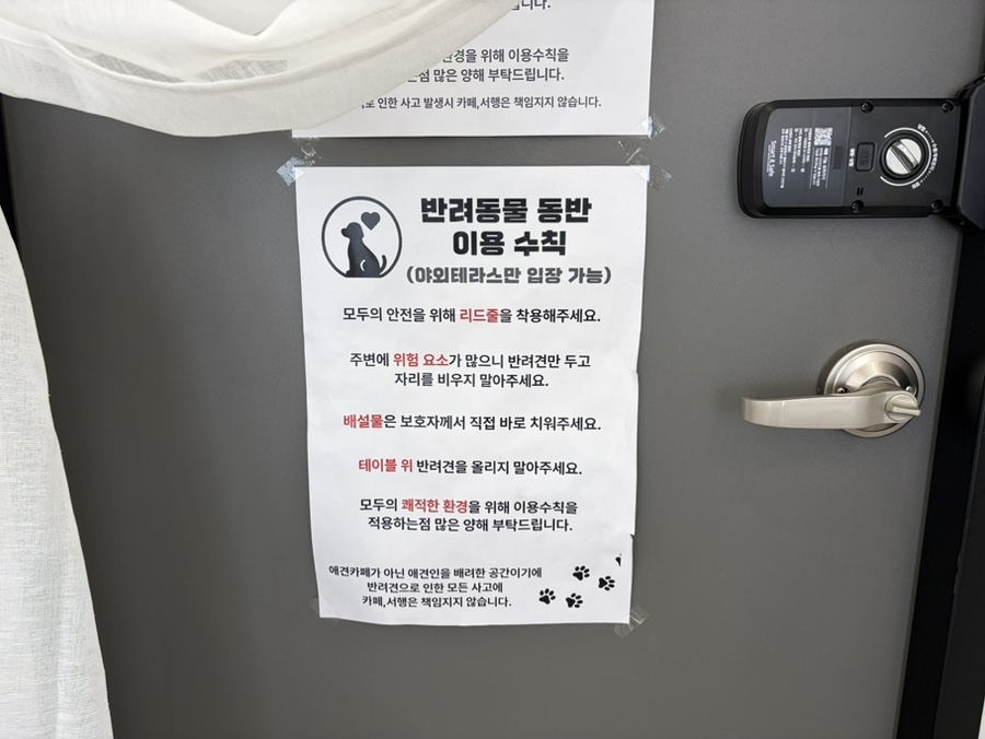 서행 사진 5