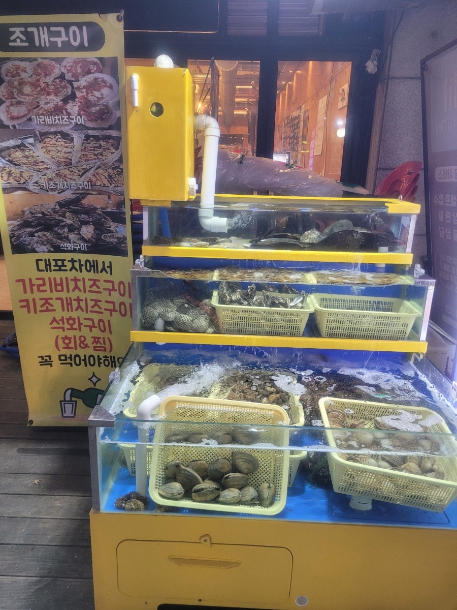대포차 사진 3