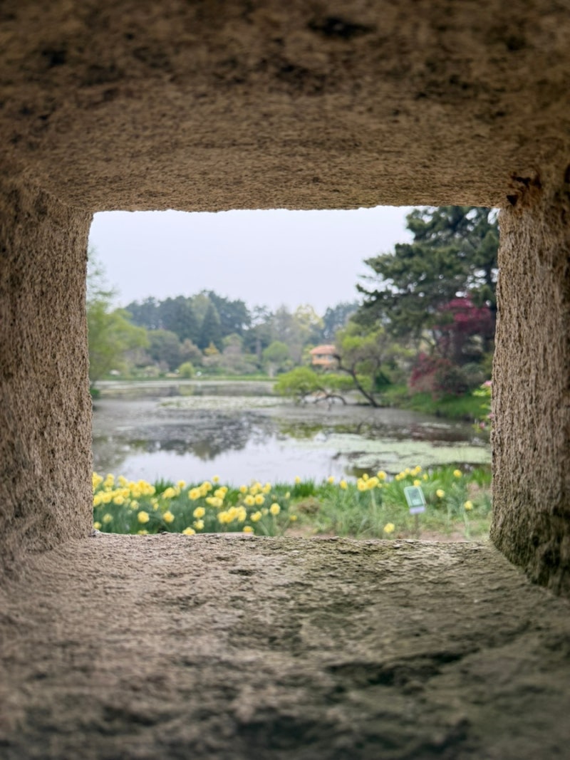 태안 가볼만한곳 : 천리포수목원 숙박 후기: 리모델링으로 쾌적해진 '위성류집' 힐링 산책