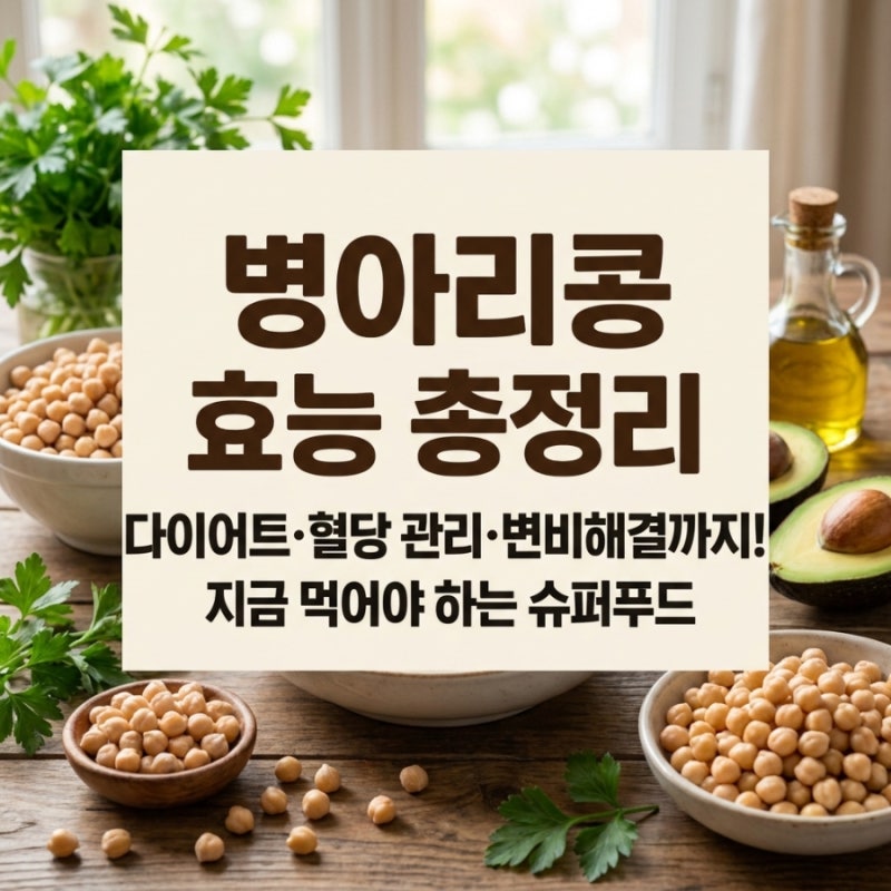 병아리콩 효능 총정리 다이어트·혈당관리·변비해결까지! 지금 먹어야 하는 슈퍼푸드