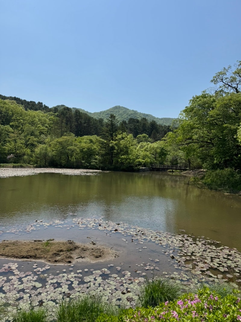[포천 가족 나들이 가볼만한곳] 국립수목원 광릉수목원 주말 주차 예약