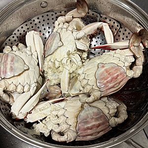봄 제철 암꽃게찜 찌는법 & 꽃게마요 레시피! 역대급 알 수율  집에서 즐기기
